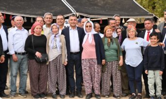 MANAVGAT’TA ZEYTİN ÇEŞİTLİLİĞİ: HEM SOFRALIK HEM YAĞLIK